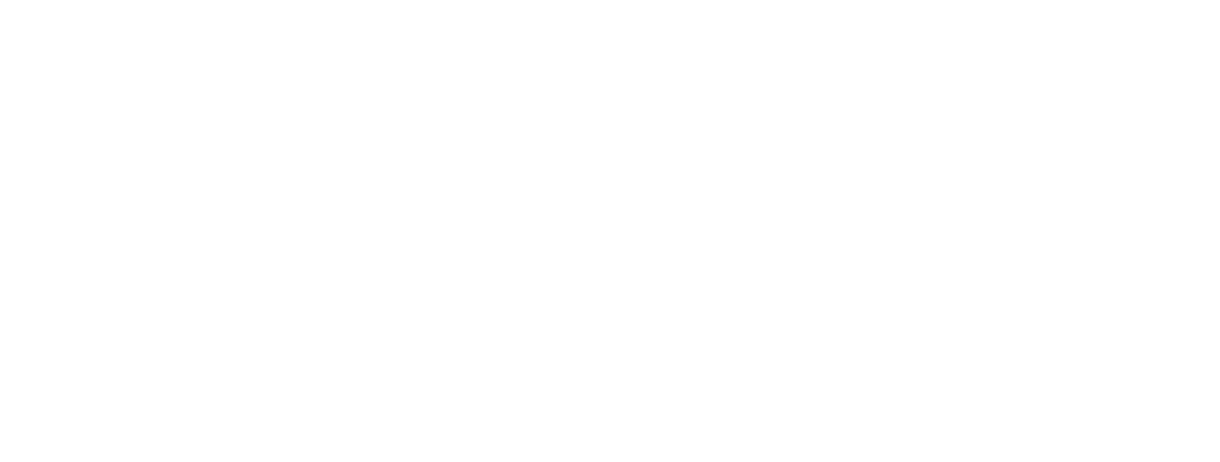 Dynamic Works Institute